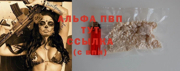 спайс Губаха