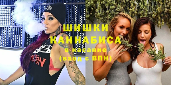 спайс Губаха